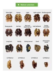 Para Wesort AI Deep <span class=keywords><strong>Learning</strong></span> Walnut Inshell Color Sorter Alta Precisão Preço de Fábrica 99.99% Precisão Forma Máquina De Classificação - Product Image 4