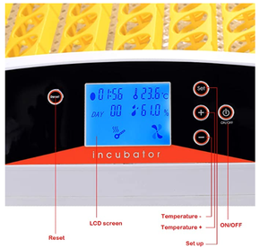 Incubadora de Huevos en Oferta con Envío Gratuito a Alemania para Mayoristas HHD EW-56A - Product Image 3