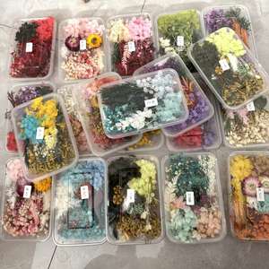 Bougie d'aromathérapie à fleurs séchées matériaux <span class=keywords><strong>de</strong></span> bricolage véritable fleur séchée naturelle pour décoration <span class=keywords><strong>de</strong></span> cadre photo et d'art <span class=keywords><strong>en</strong></span> résine, nouveauté - Product Image 2