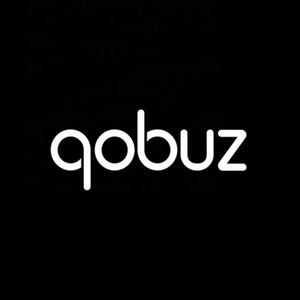 ซอฟต์แวร์คอบูซสำหรับการสตรีมเพลงและการค้นหาเพลง - Product Image 4