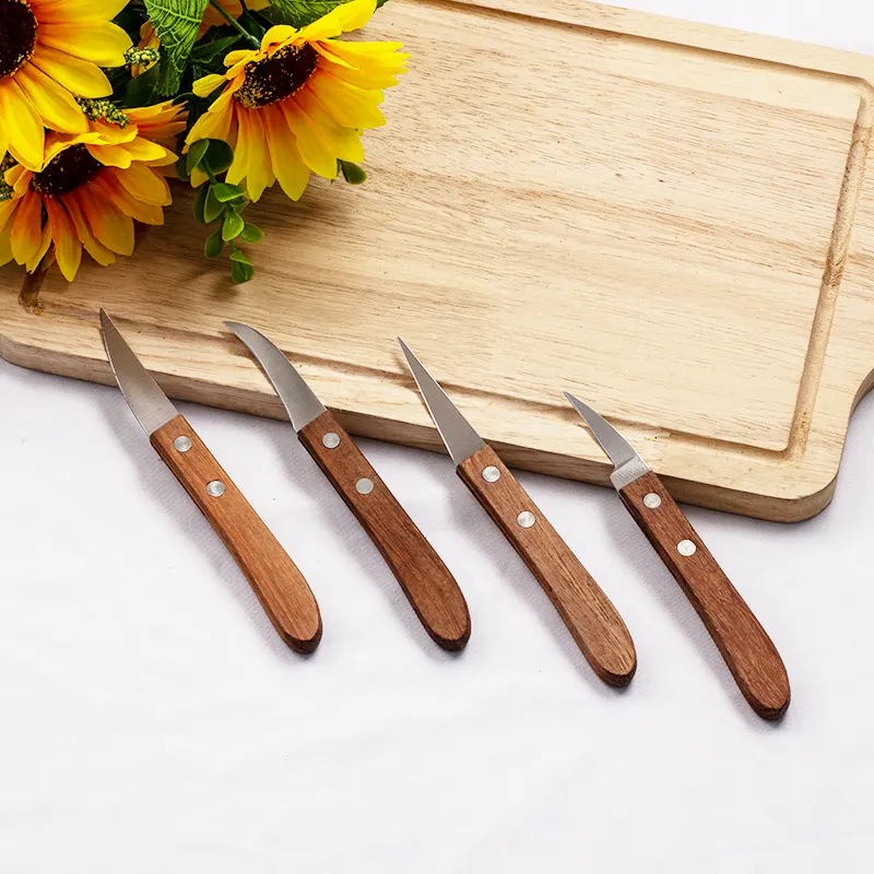 Set di vendita caldo Mini strumenti per speleologia di frutta coltello da intaglio coltello da cucina coltello da frutta