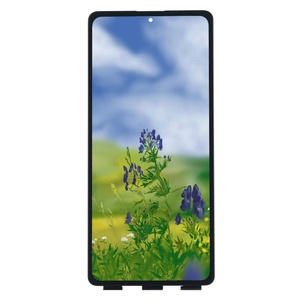 Pantalla LCD OLED Original para Redmi Note 12 Pro 4G, Pantalla para Redmi Note 12 Pro+, Pantalla para Redmi Note 12, Repuesto de Pantalla - Product Image 2