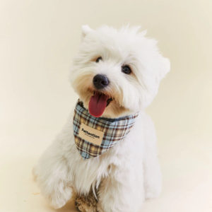 Aksesori hewan peliharaan kustom desainer <span class=keywords><strong>Bandana</strong></span> untuk anjing. Pola cek biru syal segitiga mode Retro lucu untuk Dachshund - Product Image 1