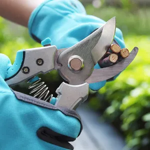 China Private Label Garden Flora Scissors Tools Carbon Steel Head TPR Hand Tea Forged Shears Scissor Pruner