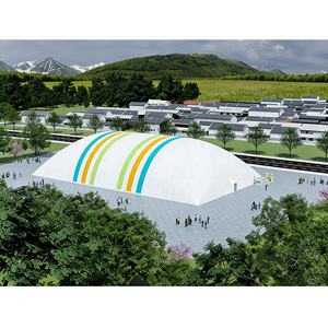 Domo Inflable Deportivo, Domos Deportivos Inflables, Domos de Aire para Balonmano, Cubierta Inflable para Campo de Fútbol, Fabricante de Domos de Aire - Product Image 6