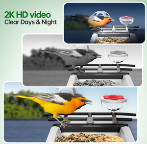 Автоматическая беспроводная умная кормушка для птиц с HD-камерой 3 МП, ночным видением, поддержкой TF-карт, современный дизайн, пластиковая конструкция - Product Image 5