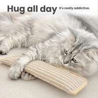 Jouet écologique pour animaux de compagnie : Coussin à chatouiller en sisal naturel et herbe à chat, résistant aux morsures, griffoir pour chats, jouets d'enrichissement pour chats, vente en gros, lot en vrac, 100% naturel