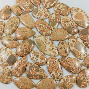 Cabochon de jaspe léopardite naturel semi-précieux de qualité supérieure, pierre précieuse en vrac pour la fabrication de bijoux, provenant d'un fournisseur en gros - Product Image 1