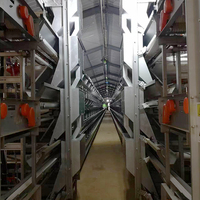 Machine de fabrication d'aliments pour volailles, cages pour poules pondeuses, poulailler pour 10 000 poulets