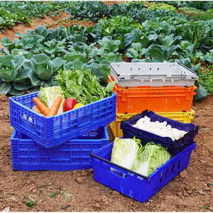 47L <strong>Stackable</strong> &amp; Nestable Vegetable <strong>Crate</strong> Mesh Style <strong>Plastic</strong> Agriculture <strong>Crates</strong> - Product Image 4