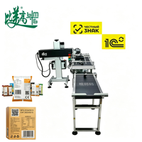Machine de marquage laser anti-contrefaçon pour la date de production et les marques de brevet, pour l'emballage de snacks et les lignes de production d'emballages souples pour snacks