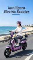 Vélo électrique Olbetter Golden Eagle, moteur sans balais 800W, batterie au plomb-acide 48V, 3 vitesses, double suspension, pour les trajets en ville, 31-60 km d'autonomie