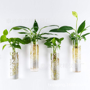 Seeking Excellence Glass Hydroponic Tube 40x150mm Wall Mounted Plant <b>Vase</b> For Indoor Greenery Decor - Product Image 1