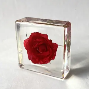 Decoración de pared de cristal transparente, flor seca, pisapapeles Rosa chino para exposición