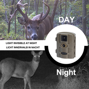 Caméra de chasse au cerf Vision nocturne Bestok Panneau solaire <span class=keywords><strong>Trailcam</strong></span> 20MP Mini caméra de chasse à la faune - Product Image 4