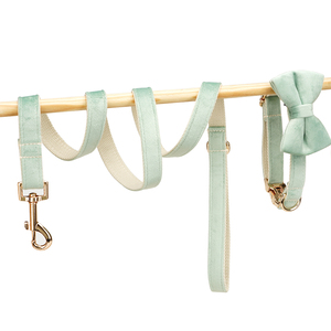 Correa y Collar para Perro de Terciopelo Personalizado HanYang OEM, Varios Colores, Hebilla Dorada de Terciopelo Grueso - Product Image 4