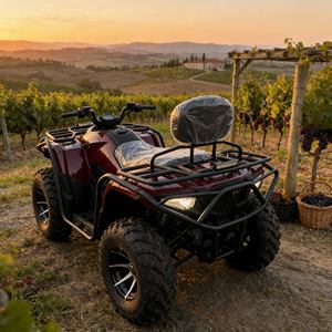 Dune Buggy d'<span class=keywords><strong>occasion</strong></span> en gros à <span class=keywords><strong>prix</strong></span> abordable, buggy 4x4 pas cher, <span class=keywords><strong>prix</strong></span> bas pour les acheteurs de seconde main - Product Image 1