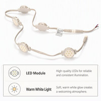 Décorations de Noël personnalisées, PC IP67 étanche, DC24V, 7 LED RGBW, point lumineux pixel, éclairage extérieur pour avant-toits