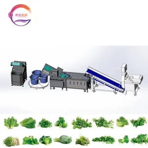 Línea de producción de verduras deshidratadas, proceso de limpieza de frutas y verduras