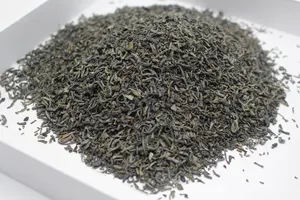 Organic Famous China Top Grade EU Standard 41022AAAA Green Tea Chunmee With Tea Plant Base