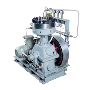 15.9m3/Min Natural Gas Compressor Reciprocating Piston Type Nitrogen Ammonia Hydrogen Biogas Syngas Compressor