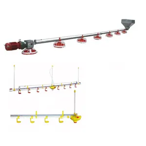 Automatic Chicken Drinking and Feeding line system For broiler chicken floor Poultry farm house equipment