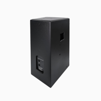 Système audio DSZ à haut-parleur large bande de 15 pouces 400W pour scène extérieure et performance intérieure