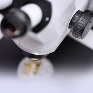 Microscopio Estéreo Zeiss Stemi 508 Apo 1.5x RWD 53mm para Laboratorios de Biotecnología - Product Image 3