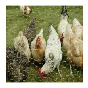 Clôture métallique de poulet Offre Spéciale de 8 pieds de haut/cadre topiaire en fil de poulet extérieur/treillis métallique de poulet bon marché