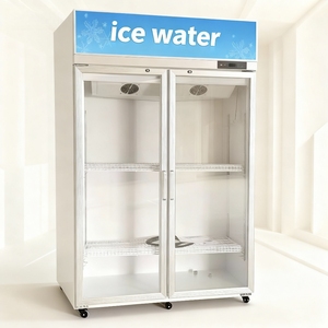 Verticale drankenkoelkast met één temperatuur en directe luchtkoeling voor hotel, bierkoeler, drankenpresentatiekast - Product Image 4