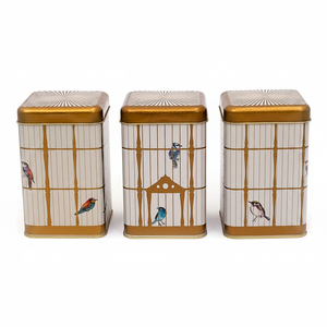Juego de Cajas de Hojalata Cuadradas Kontensan de 105x105x160 mm (Juego de 3) con Ilustración de Jaula de Pájaros Vintage y Diseño de Pájaros Coloridos - Product Image 2