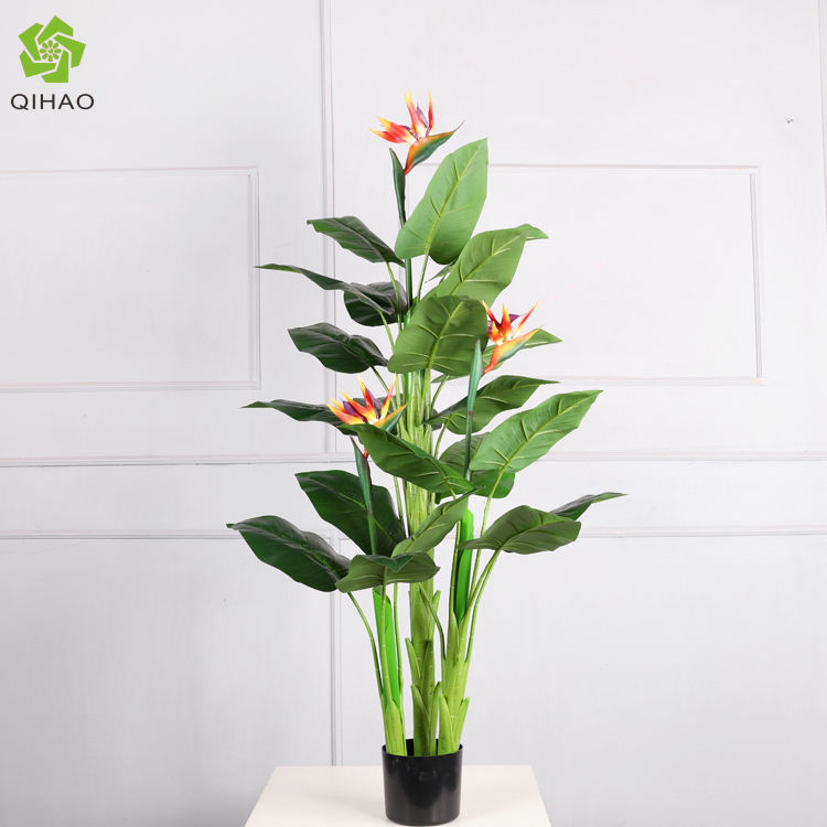 140cm Paradise Flower Plant