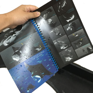 Tyvek-impresión de papel a la Carta, impresión de folletos a prueba de agua/Revista Profesional, libro de fotos, servicios de impresión de folletos baratos - Product Image 2