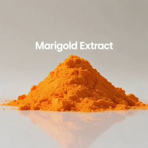 Chất lượng cao sức khỏe tự nhiên sản phẩm hữu cơ Cúc Vạn Thọ chiết xuất <span class=keywords><strong>Lutein</strong></span> 5% 80% Zeaxanthin 98% <span class=keywords><strong>90</strong></span> bột 10% <span class=keywords><strong>Lutein</strong></span> bổ sung - Product Image 2