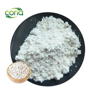 Wholesale Natural Pure Phaseolin White Kidney Bean Extract Powder White Kidney Bean Extract