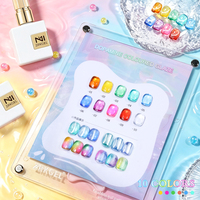 ZRKGEL Fournisseur d'usine professionnel Vente en gros OEM 10 couleurs Vernis à ongles gel effet miroir transparent brillant DIY