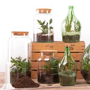 AGG68 Esschert-Design dekoratives halböffnete Flasche mini kleines <span class=keywords><strong>Terrarium</strong></span> Großhandel Versorgung Pflanzen <span class=keywords><strong>Terrarium</strong></span> mit Korkdeckel - Product Image 5