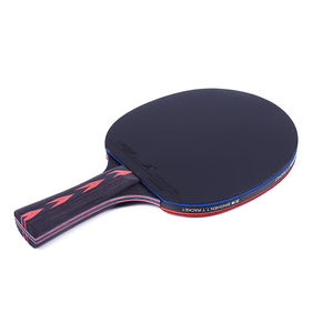 <span class=keywords><strong>Raquette</strong></span> de <span class=keywords><strong>raquette</strong></span> de tennis de table en plein air <span class=keywords><strong>4</strong></span> étoiles <span class=keywords><strong>raquette</strong></span> de tennis de table professionnelle ensemble de <span class=keywords><strong>raquette</strong></span> de <span class=keywords><strong>ping</strong></span>-<span class=keywords><strong>pong</strong></span> pagaie - Product Image 5