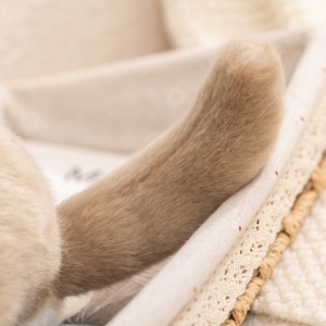 <span class=keywords><strong>Peluche</strong></span> <span class=keywords><strong>de</strong></span> <span class=keywords><strong>Chinchilla</strong></span> <span class=keywords><strong>de</strong></span> Simulación, <span class=keywords><strong>Peluche</strong></span> Personalizado, Juguete <span class=keywords><strong>de</strong></span> <span class=keywords><strong>Peluche</strong></span> Suave <span class=keywords><strong>de</strong></span> <span class=keywords><strong>Chinchilla</strong></span> - Product Image 3