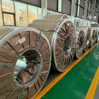 Feuillard d'acier galvanisé Gi Strips Coil 9007 Ral Cold Roll