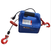Mini palan électrique 220V outils de levage guindeau 500KG palan de Traction à câble électrique Portable