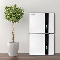 Enerlution Grade a 100Ah Lifepo4 LFP Cell Battery Pack Solar Power Powerwall Wall Mounted Lithium Ion Solax Battery