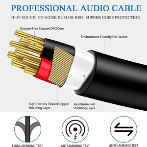 Câble adaptateur audio Doonjeiy de haute qualité, <span class=keywords><strong>XLR</strong></span> femelle vers double 6,35 mm 1/4 TS mâle, séparateur audio Y, convertisseur audio mono jack - Product Image 6