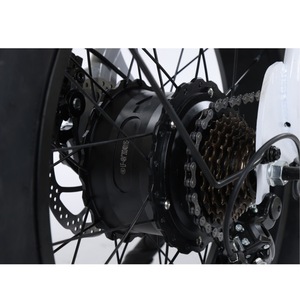 Bicicletta Elettrica <span class=keywords><strong>E</strong></span>-bike a Consegna Rapida, 48V 250W, Doppi Motori, 7 Velocità, Ruote Fat da 20 Pollici - Product Image 6