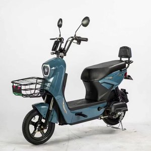 Bicicleta Eléctrica China de Diseño Clásico de 14 Pulgadas con Motor Trasero sin Escobillas de 500W, Pantalla Digital de 3 Velocidades y Batería de Litio, Envío Gratis - Product Image 2
