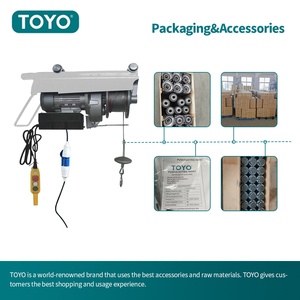 Cina produttore Toyo capacità di sollevamento da 300 Kg a 1800 Kg italia ce Mini argano elettrico Push paranco con ruota - Product Image 5