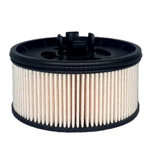 31920-S1900 Nuevo Filtro de Combustible Diésel para Autos Kia, Pieza de Repuesto con Certificación ISO/TS16949 - Product Image 1