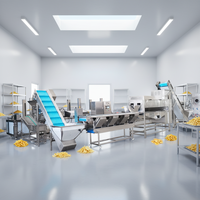Ligne de production automatique de chips et de frites de pommes de terre TCA, ensemble complet
