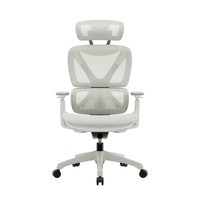 Chaise de bureau ergonomique, nouveau design, tissu haut de gamme, chaise de direction, accoudoirs 2D et 3D, style moderne, chaise en mesh pour patron/CEO, acier durable