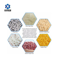 Chaîne de production de riz instantané nutritif et ligne de transformation alimentaire par extrusion, directement de l'usine
